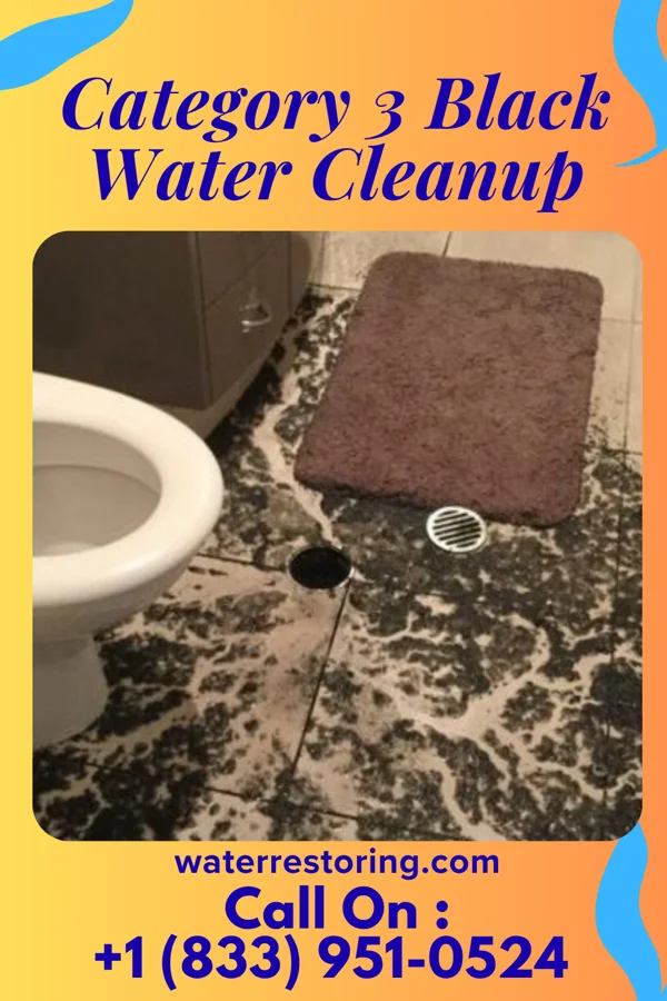 Category 3 Black Water Cleanup in Portage Lakes, OH