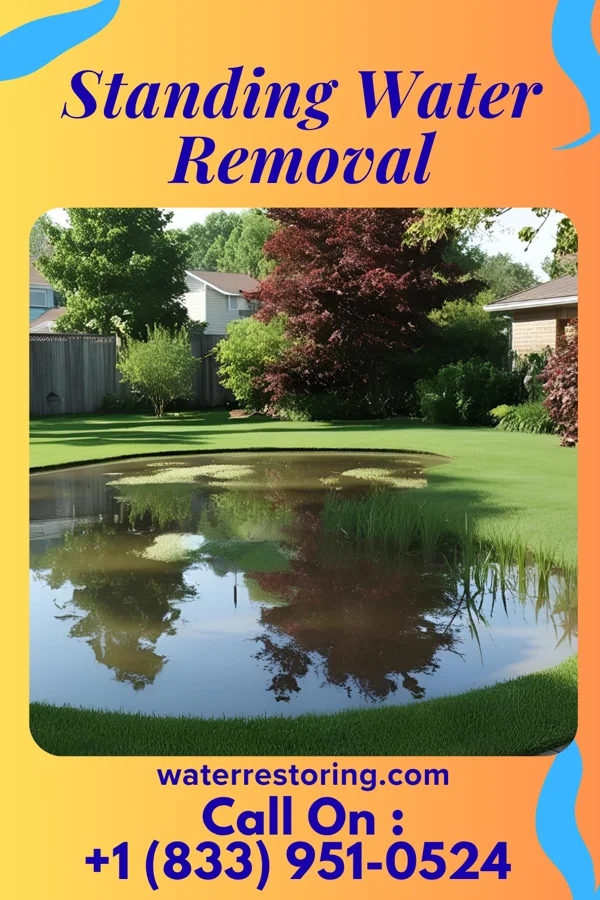 Standing Water Removal in Portage Lakes, OH